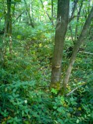 post-6726-0-15629400-1326265641_thumb.jp