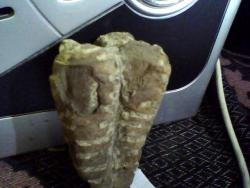 post-7486-0-48621900-1326917154_thumb.jp