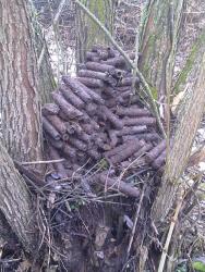 post-7679-0-67539500-1326230192_thumb.jp