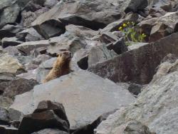 post-9204-0-36343800-1327959836_thumb.jp