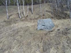 post-9204-0-55309800-1326823750_thumb.jp