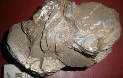 post-11710-0-41524300-1357230701_thumb.j