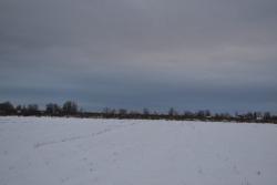 post-13973-0-09136600-1358791635_thumb.j