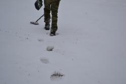 post-13973-0-37178300-1358791674_thumb.j