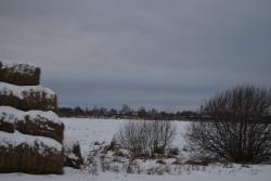 post-13973-0-56074100-1358791587_thumb.j