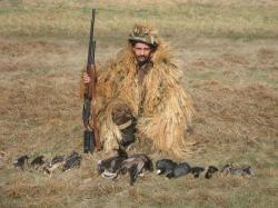 post-1724-0-16728500-1359023735_thumb.jp