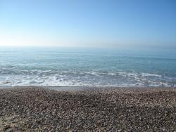 post-17309-0-93637800-1357037292_thumb.j