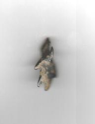 post-20029-0-19633900-1358439843_thumb.j