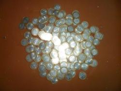 post-20810-0-74776700-1357445684_thumb.j