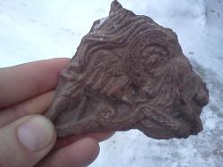 post-22077-0-06175000-1358748237_thumb.j