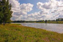 post-22384-0-13700000-1359142542_thumb.j