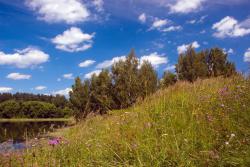 post-22384-0-39193500-1359142548_thumb.j