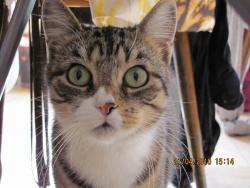 post-22418-0-78359900-1359202356_thumb.j