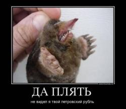 post-2838-0-08265200-1359014227_thumb.jp