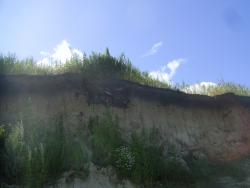 post-2863-0-45241300-1357395426_thumb.jp