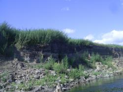 post-2863-0-48066600-1357395625_thumb.jp