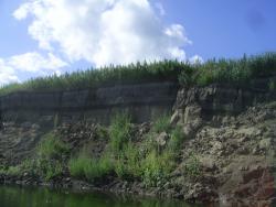 post-2863-0-89607000-1357395664_thumb.jp