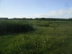 post-2863-0-97393400-1357397660_thumb.jp