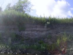 post-2863-0-99800000-1357395560_thumb.jp