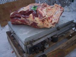 post-4269-0-78156300-1357142690_thumb.jp