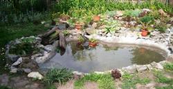 post-4485-0-39243500-1359600269_thumb.jp