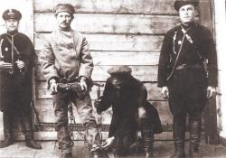 post-4840-0-29232000-1357505700_thumb.jp