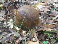 post-4998-0-19547400-1359478738_thumb.jp