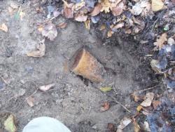 post-4998-0-24340700-1359478041_thumb.jp