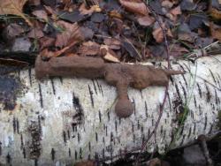 post-4998-0-47643800-1359478028_thumb.jp