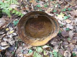 post-4998-0-92072400-1359478731_thumb.jp