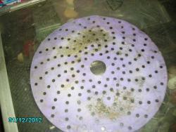 post-5620-0-11179400-1358355968_thumb.jp