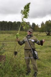 post-6129-0-88929500-1358950255_thumb.jp