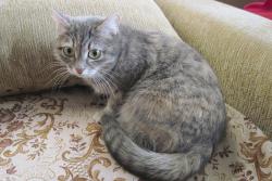 post-6245-0-93119800-1357574928_thumb.jp