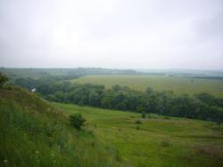 post-7851-0-49463500-1358083320_thumb.jp