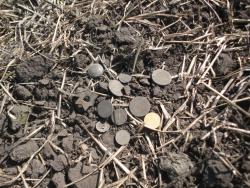 post-8817-0-35552600-1357623563_thumb.jp