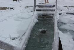 post-9454-0-41965800-1358774662_thumb.jp