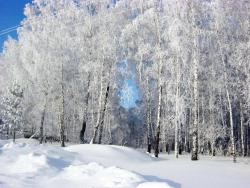 post-9540-0-11986900-1357714786_thumb.jp