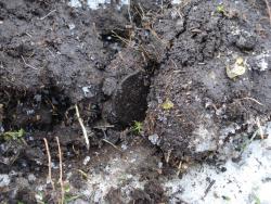 post-12373-0-10165500-1389943615_thumb.j