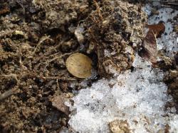 post-12373-0-25541900-1389938137_thumb.j