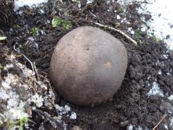 post-12373-0-29369900-1389944104_thumb.j