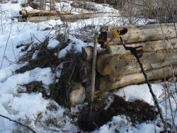 post-12373-0-56993700-1389937912_thumb.j