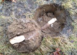 post-13262-0-07865400-1390534810_thumb.j