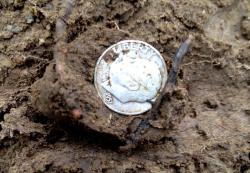 post-13262-0-09826900-1390534950_thumb.j