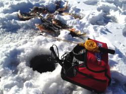 post-13262-0-12041800-1390534287_thumb.j