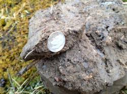 post-13262-0-29969300-1390535003_thumb.j