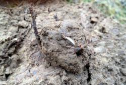 post-13262-0-37433200-1390534873_thumb.j