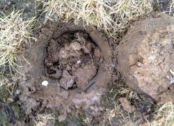 post-13262-0-89151300-1390534637_thumb.j