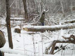 post-1724-0-46662700-1388908472_thumb.jp