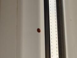 post-17309-0-11515800-1388757318_thumb.j