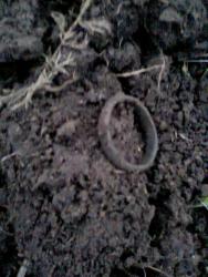 post-17557-0-16447800-1389032468_thumb.j